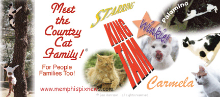 Banner Country Cat Family
